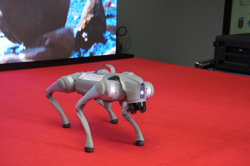 Khi AI và Robotics đến gần hơn với đời sống